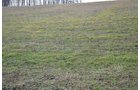 Property photo 39 - 98+/- Acres Offered in 6 Tracts or Combinations, Noble County, Indiana Farm
